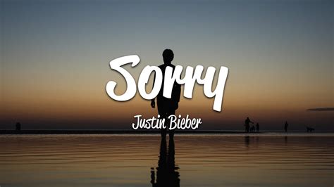 the song so sorry